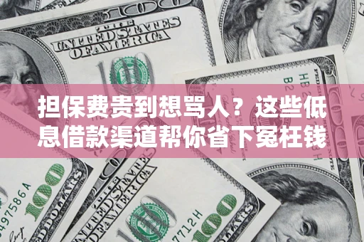 武汉担保费贵到想骂人？这些低息借款渠道帮你省下冤枉钱