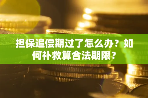武汉担保追偿期过了怎么办？如何补救算合法期限？