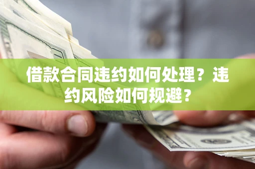 武汉借款合同违约如何处理？违约风险如何规避？