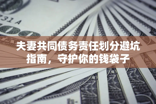 武汉夫妻共同债务责任划分避坑指南，守护你的钱袋子