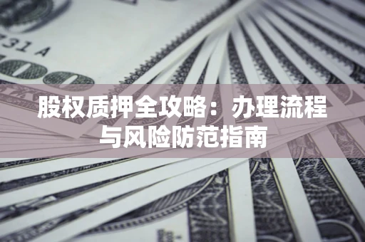 武汉股权质押全攻略：办理流程与风险防范指南